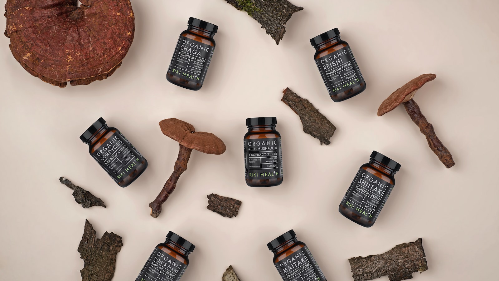 4. Chaga Mushrooms and Their Role in Fighting Inflammation and Oxidative Stress