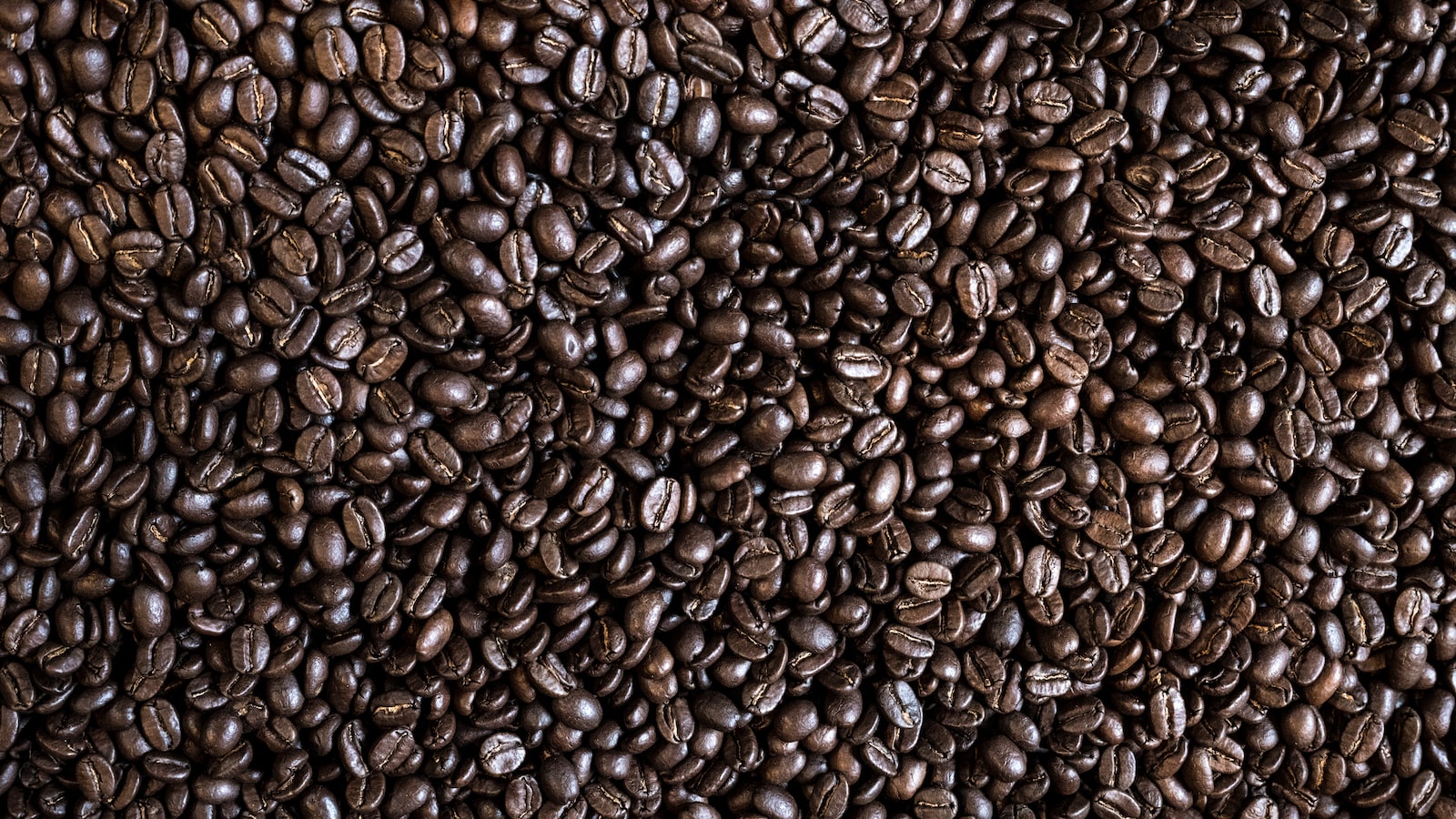 Does Mushroom Coffee Work Reddit? Exploring User Experiences and Reviews.
